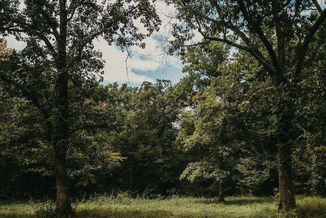 8594 Morehead Rd, Flemingsburg, KY 41041 - view of landscape with a wooded view