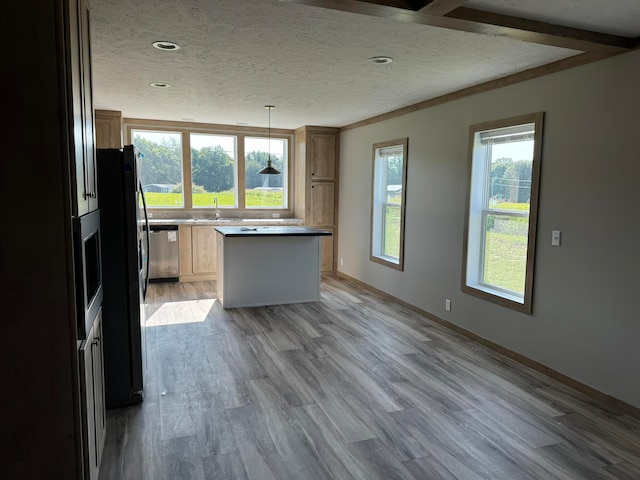 kitchen with a wealth of natural light, sink, and light hardwood / wood-style floors