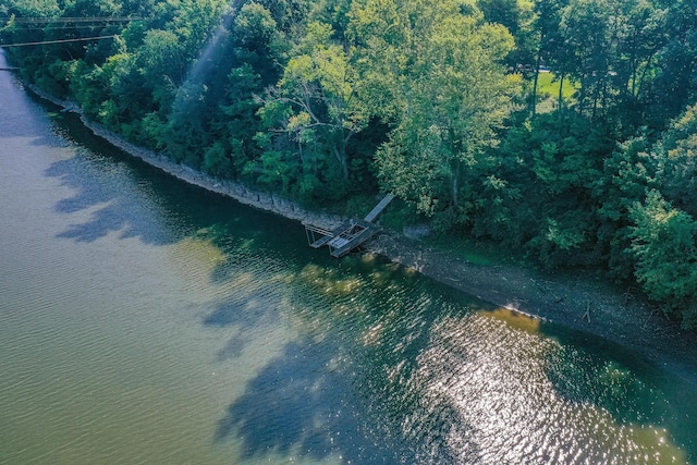 birds eye view of property with a water view and a view of trees