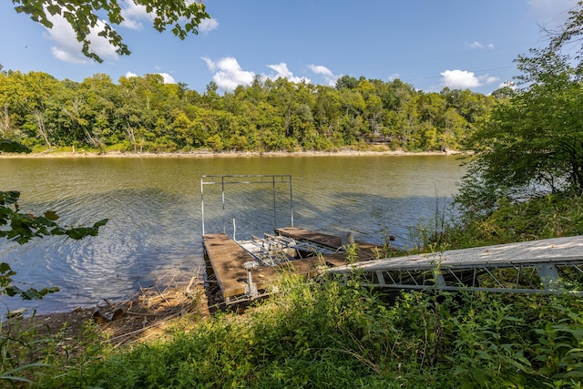 view of dock featuring a water view and a forest view