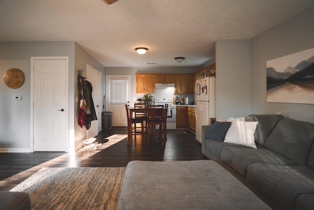 living room with dark hardwood / wood-style floors and a textured ceiling