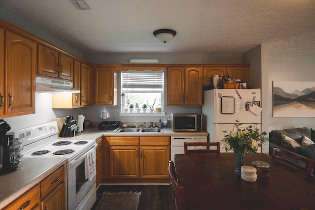 kitchen featuring sink, dark hardwood / wood-style flooring, a textured ceiling, and white appliances