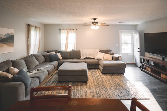 living room featuring ceiling fan, a textured ceiling, and wood-type flooring