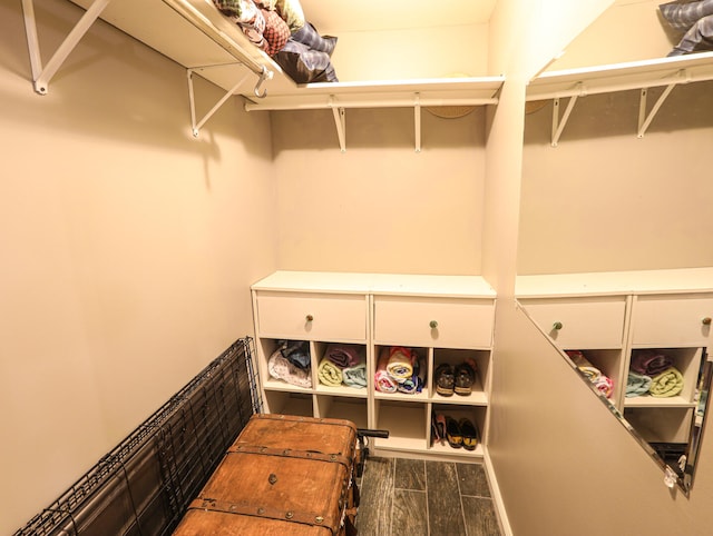 spacious closet featuring hardwood / wood-style flooring