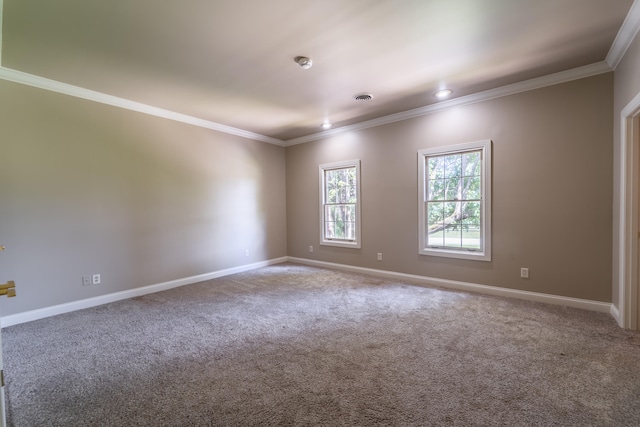 unfurnished room with carpet floors and crown molding