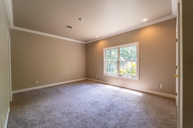 empty room featuring ornamental molding and carpet