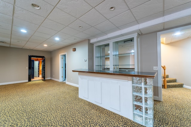 bar featuring carpet flooring