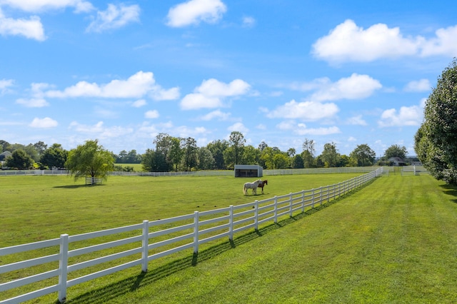 view of yard featuring a rural view