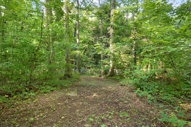 view of landscape featuring a forest view