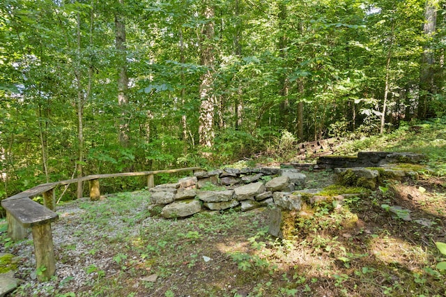 view of local wilderness with a wooded view