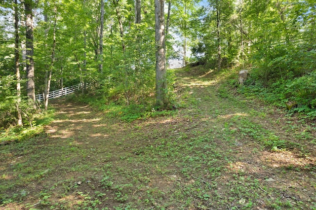 view of landscape with a forest view