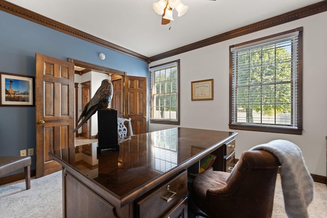 carpeted home office featuring crown molding and ceiling fan