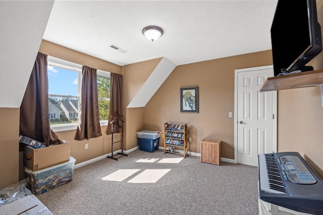 additional living space featuring lofted ceiling, carpet flooring, and a textured ceiling