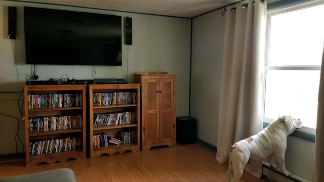 living area featuring wood-type flooring and a healthy amount of sunlight