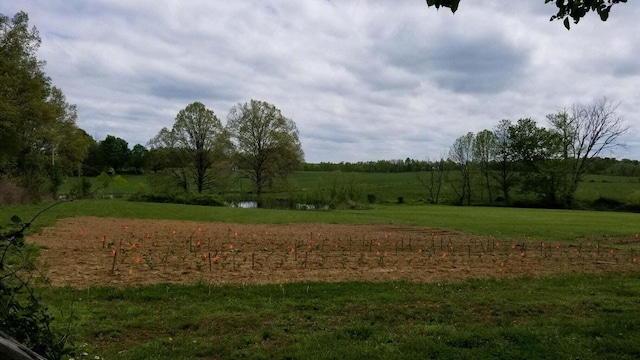 view of landscape with a rural view