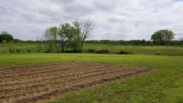 view of yard with a rural view