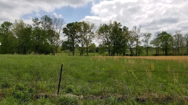 view of local wilderness