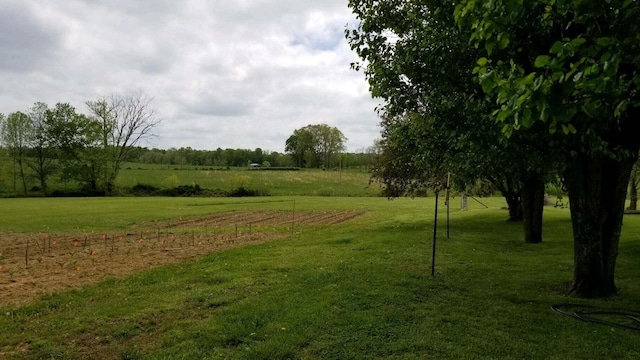 view of yard featuring a rural view