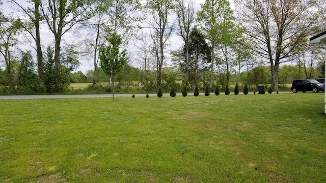 view of property's community featuring a lawn