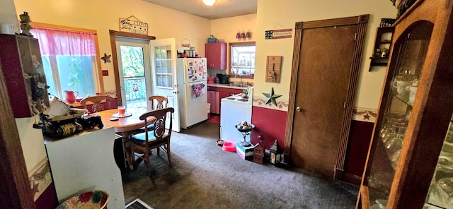 interior space featuring dark carpet and sink