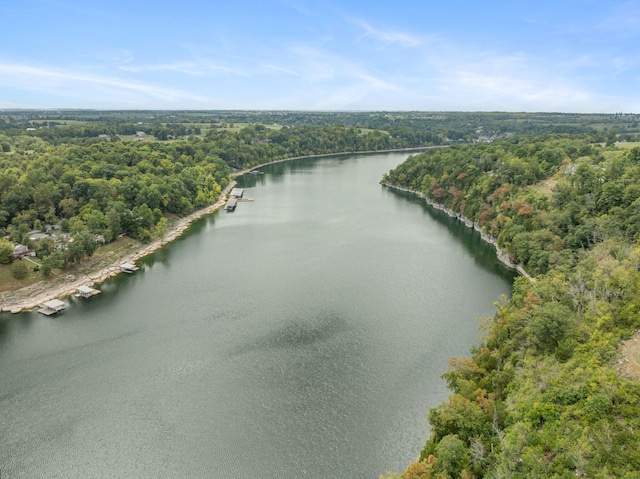 drone / aerial view featuring a water view and a view of trees