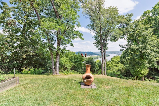 view of yard featuring a water view