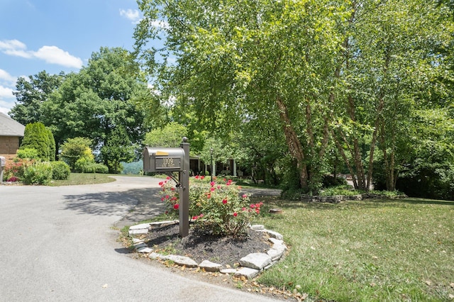 exterior space with a front lawn