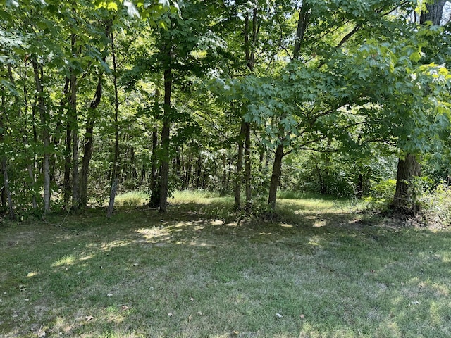 view of nature with a wooded view