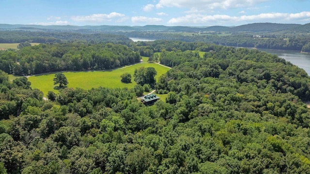 bird's eye view featuring a water and mountain view