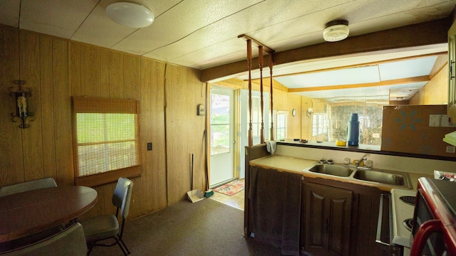 kitchen with wood walls and sink