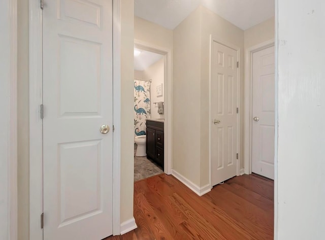 hall featuring hardwood / wood-style floors