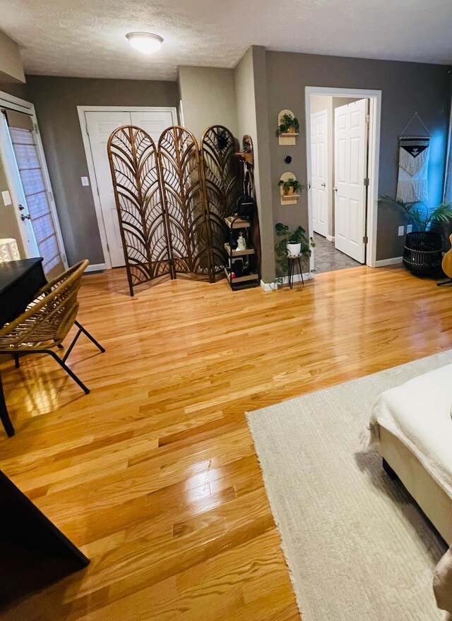 living room featuring hardwood / wood-style floors and a textured ceiling