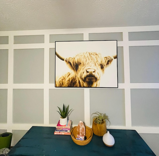 room details with a textured ceiling