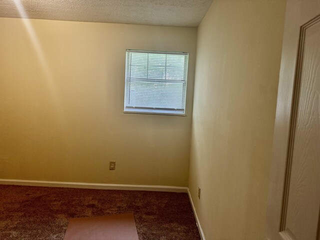 carpeted empty room with a textured ceiling