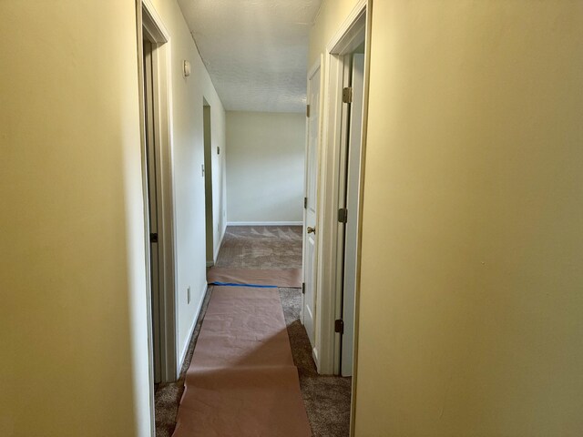 hallway featuring a textured ceiling and carpet