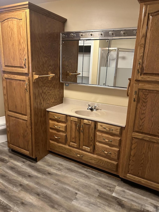bathroom featuring wood finished floors and vanity