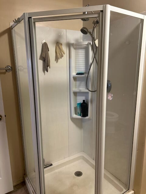 bathroom featuring a shower with shower door