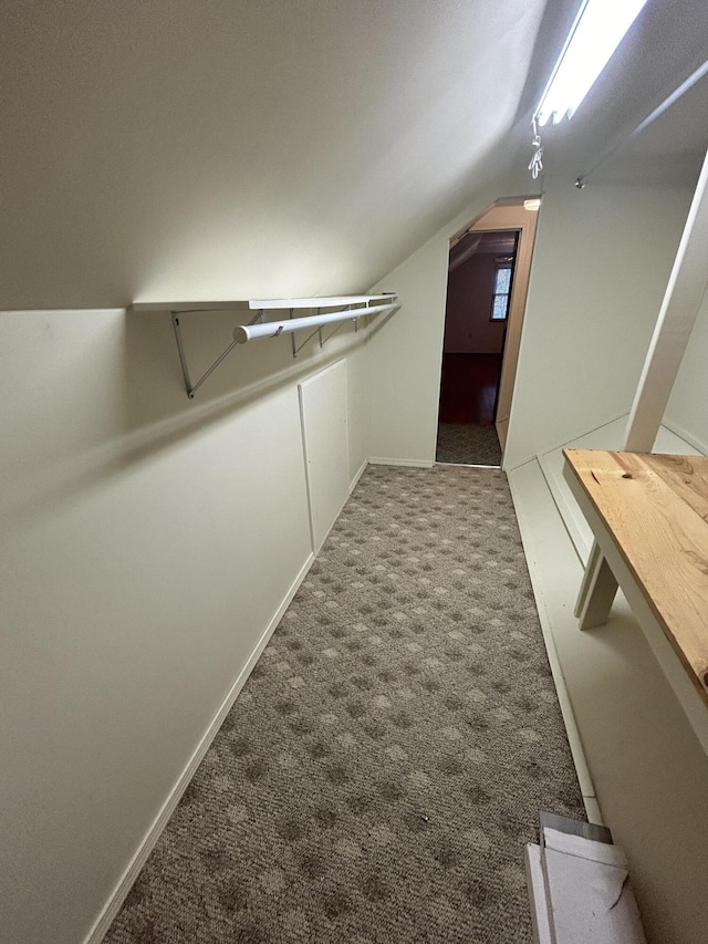 walk in closet featuring carpet and lofted ceiling