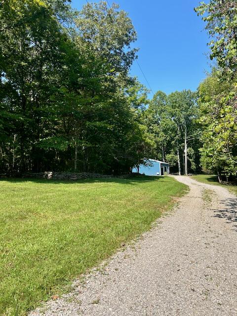 view of dirt / gravel driveway