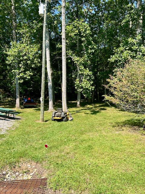 view of grassy yard