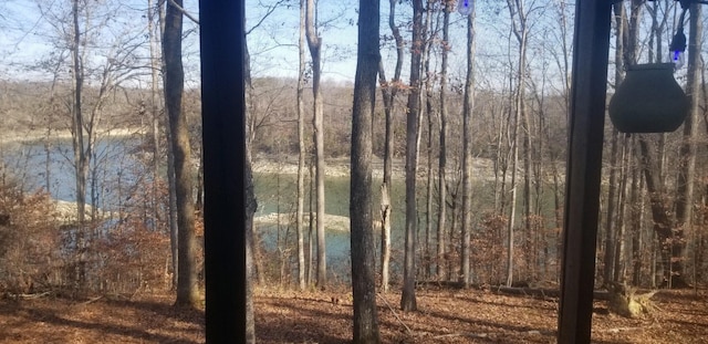 view of landscape with a water view