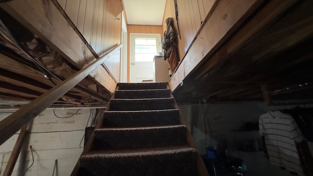 staircase with wood walls