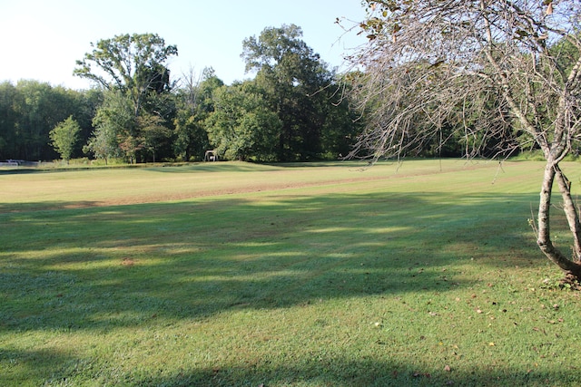 view of home's community featuring a yard