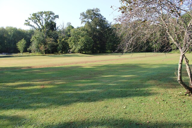 view of community featuring a yard