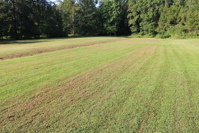 view of yard featuring a wooded view