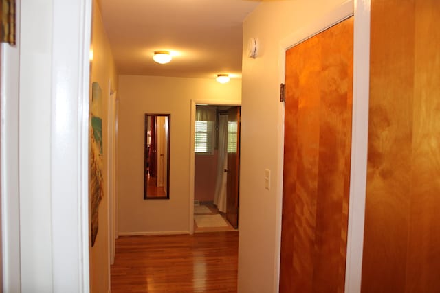 corridor with wood-type flooring