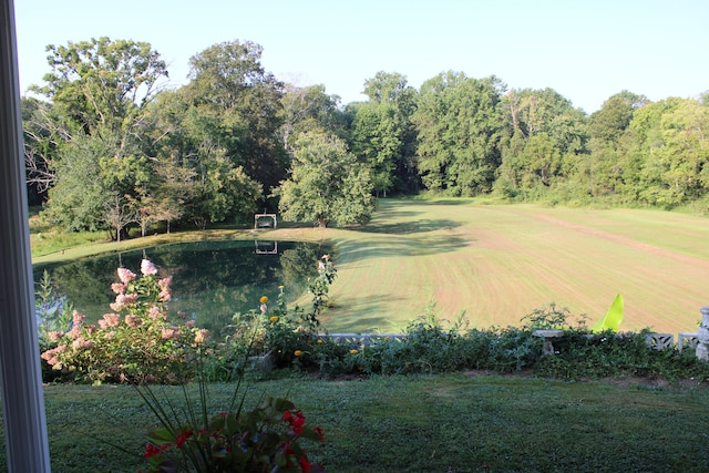 property view of water