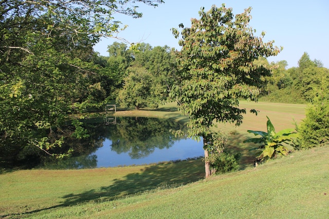 view of water feature