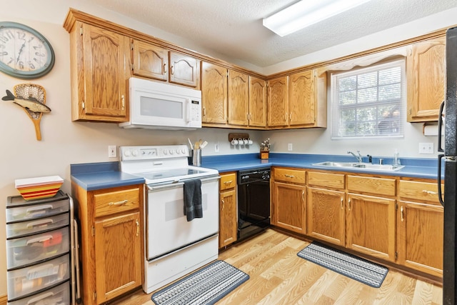 kitchen with light wood-type flooring, brown cabinetry, white appliances, a textured ceiling, and a sink