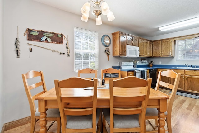 dining space with light wood-type flooring, a textured ceiling, and ceiling fan